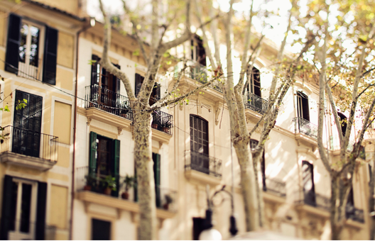 Property in